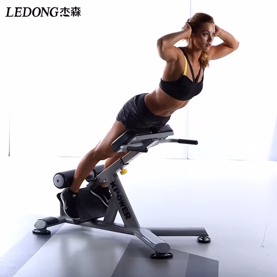 Factory Direct Commercial Fitnessgeräte Taillen-Bauch-Römerstuhl