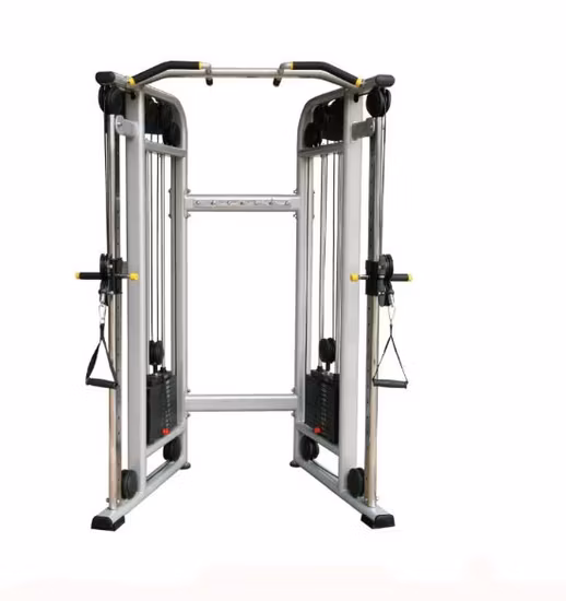 Roman Chair Multifunktionsstuhl für das Fitnessstudio