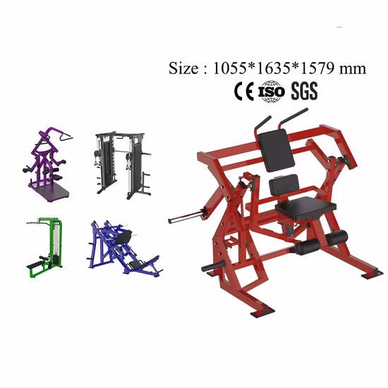 Turnhalle verwenden kommerzielle Fitnessgeräte Rückenverlängerung römischer Stuhl