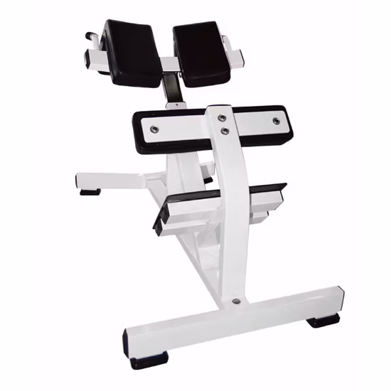 Fitness, Fitnessgeräte, Trainingsgerät, römischer Multi-Hyperextensionsstuhl